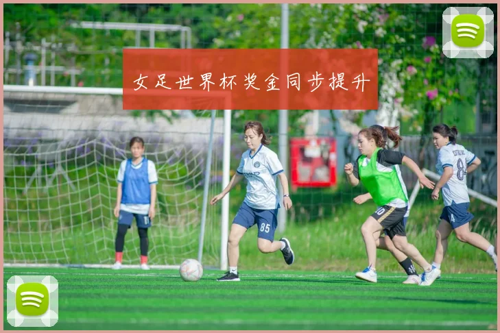 女足世界杯奖金同步提升