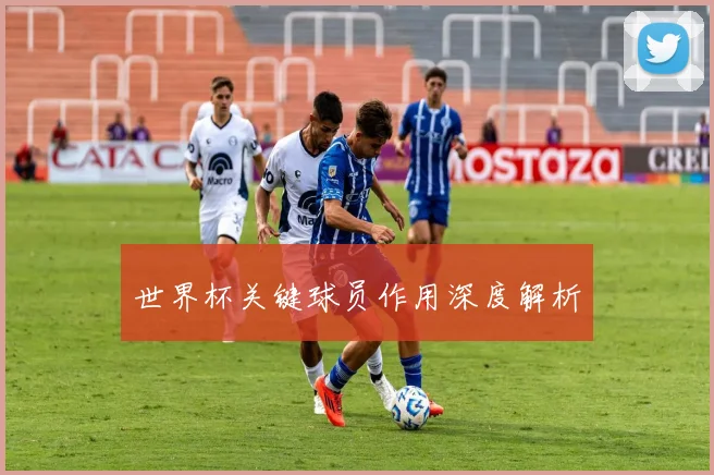 世界杯关键球员作用深度解析